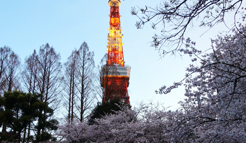 4月
